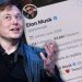 Elon Musk’s Twitter Now Lets Paying Users Make Posts Above 25,000 Characters