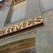 Hermès Heir Shocks World with Unprecedented Decision: Plans to Adopt Gardener and Bequeath $11 Billion Fortune