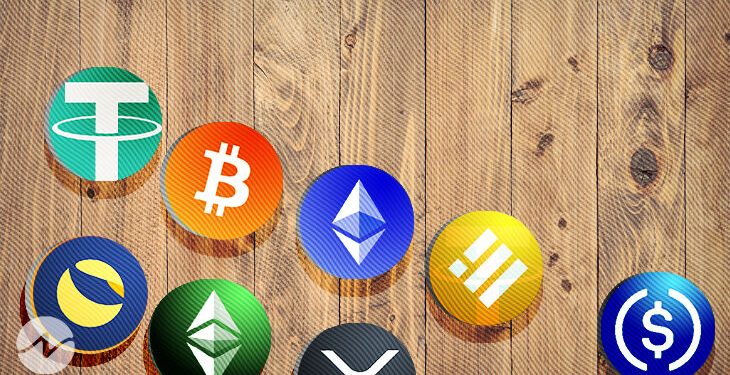 Crypto Hedge Fund CEO’s Identity Under Scrutiny as Probe Reveals No Record