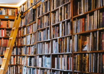 Mystery Pirate Library Ordered to Pay $30 Million to Publishers