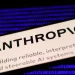 Durk Kingma Joins Anthropic as Co-Founder in a Strategic Move for AI Development